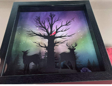 Shadowbox Shadowbox